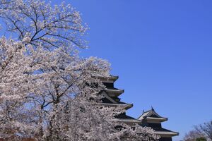 松本城